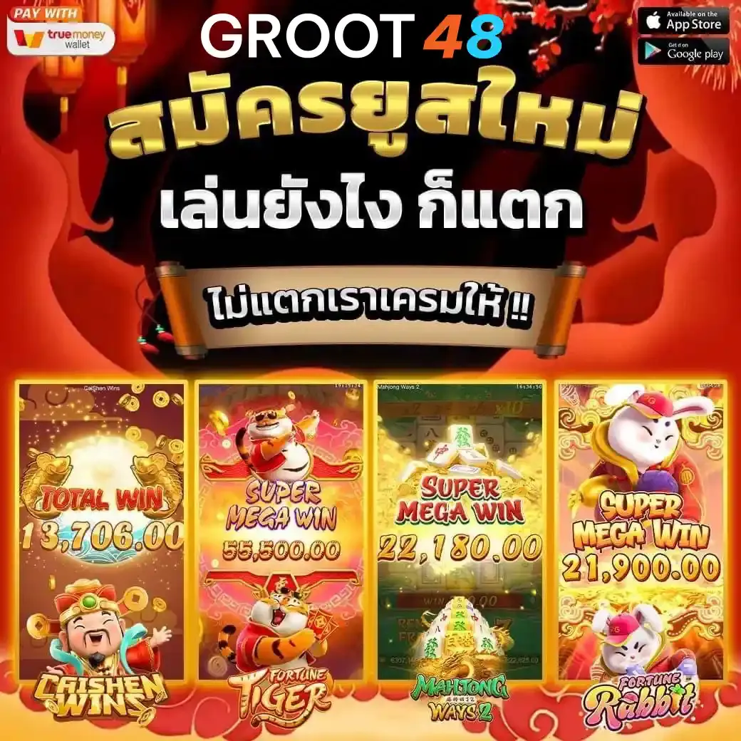 groot48 สมัครสมาชิก
